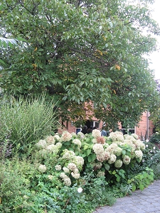 Wiederhold Garten Langerwisch Foto Brandt